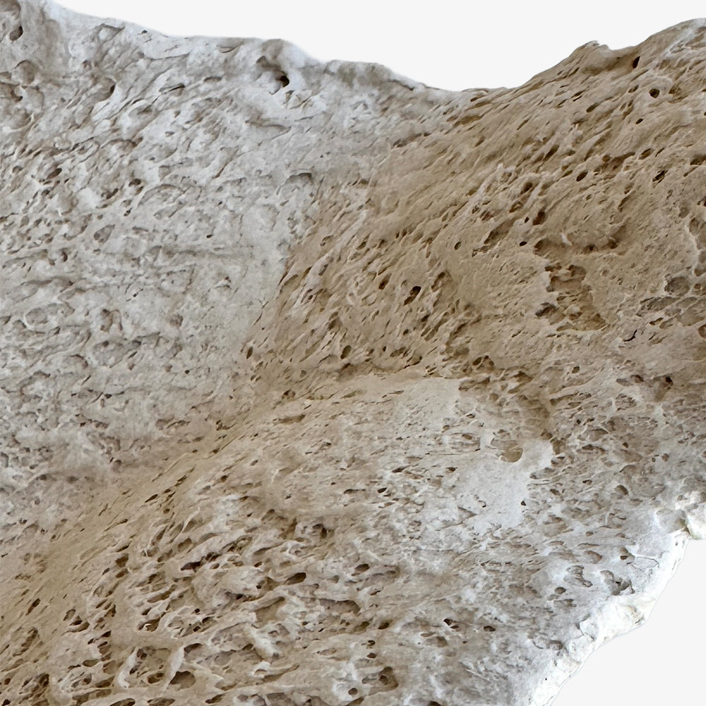 Sculpture by Stacy Solodkin