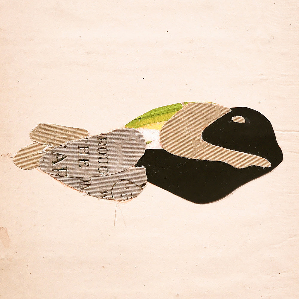 Collage by Tadahiro Gunji