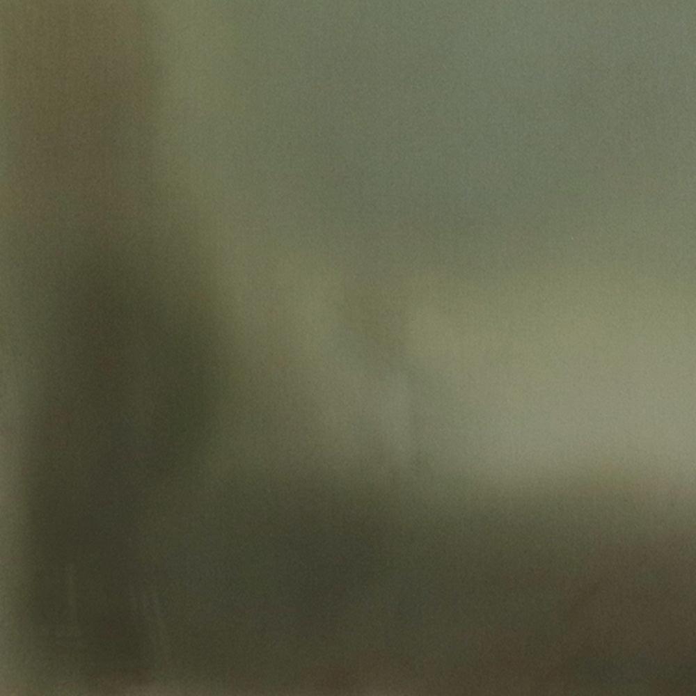 Painting by Ali Enache