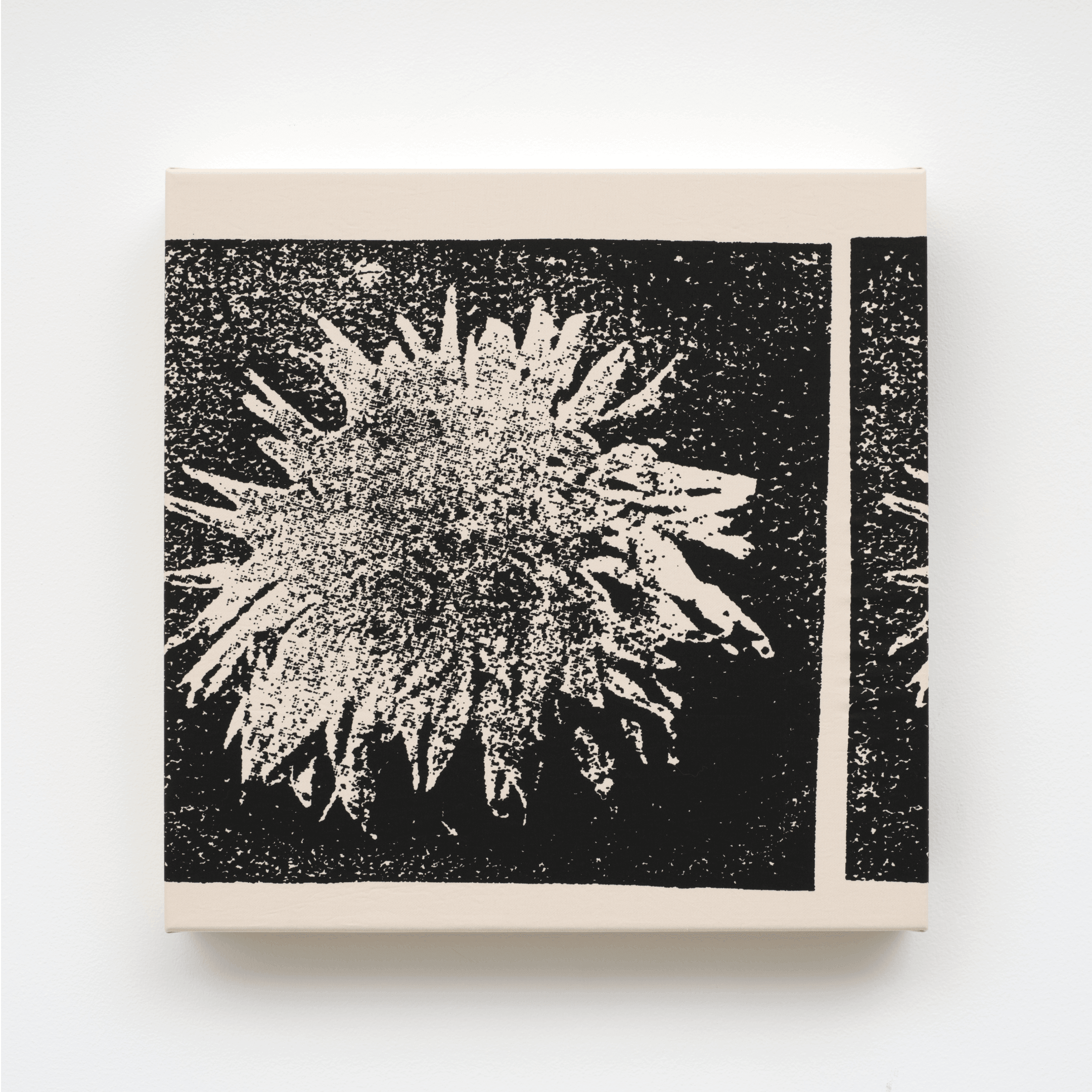 Print by Mike McMullen