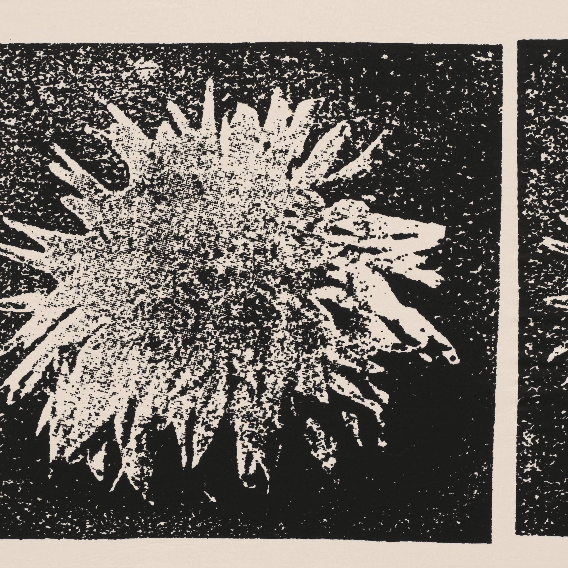 Print by Mike McMullen