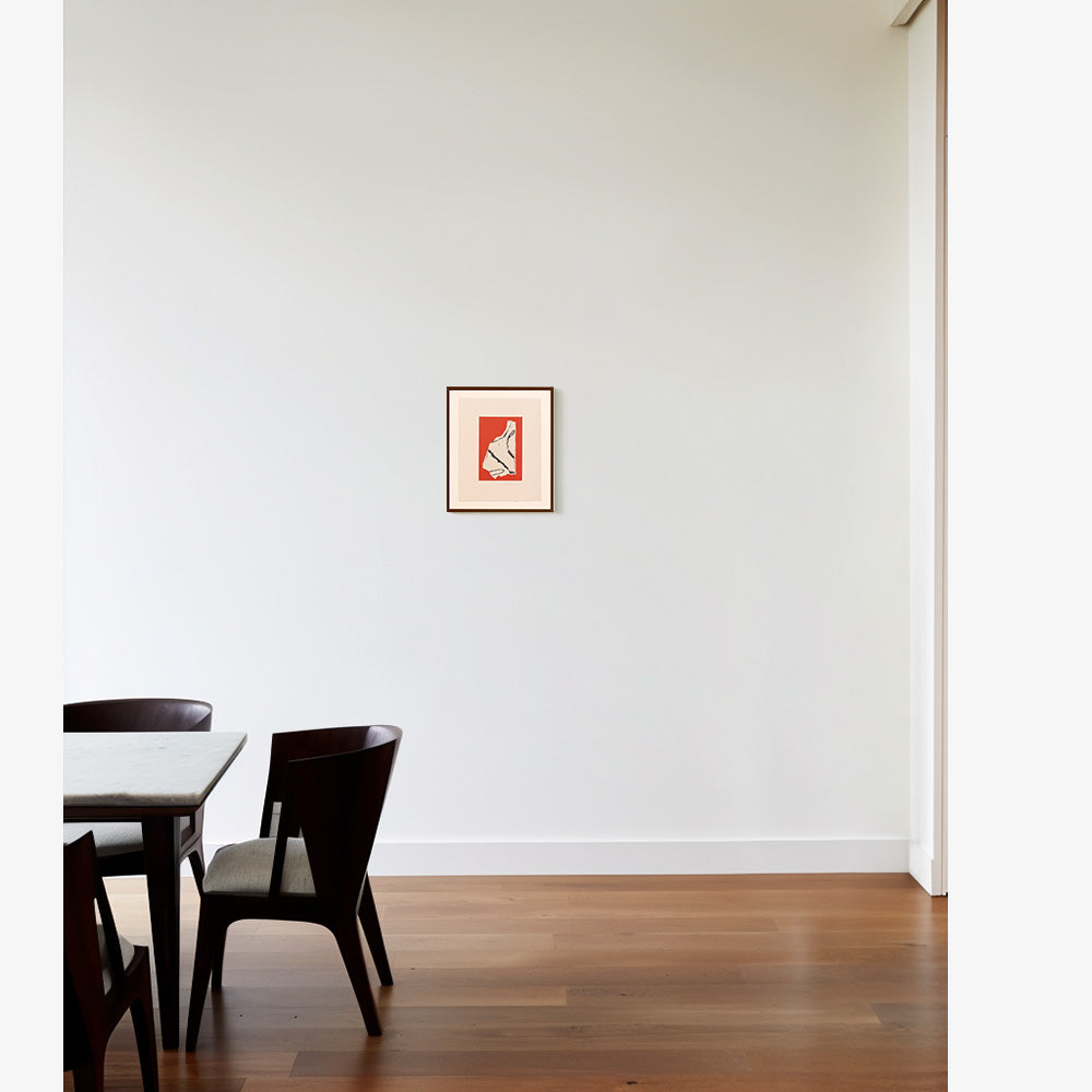 Transit Study Red/Blk 3