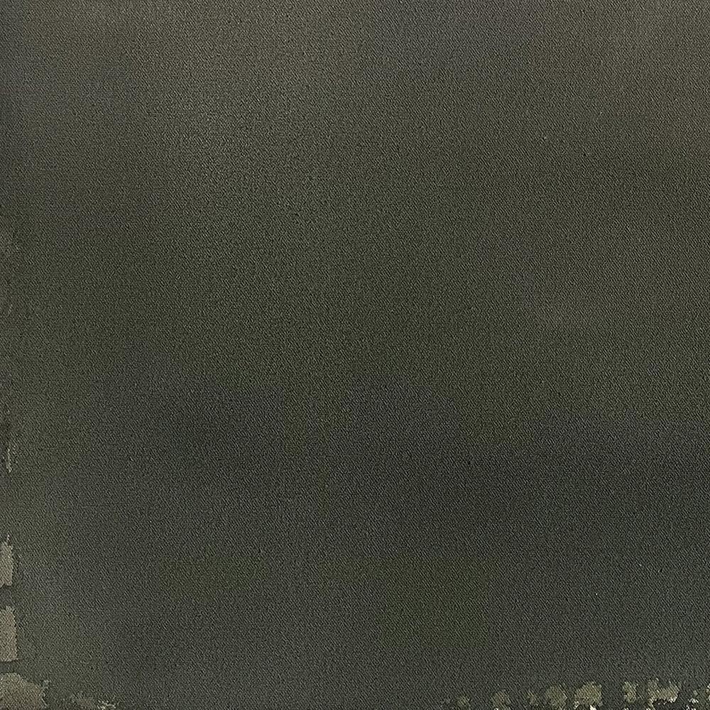 Painting by Ali Enache