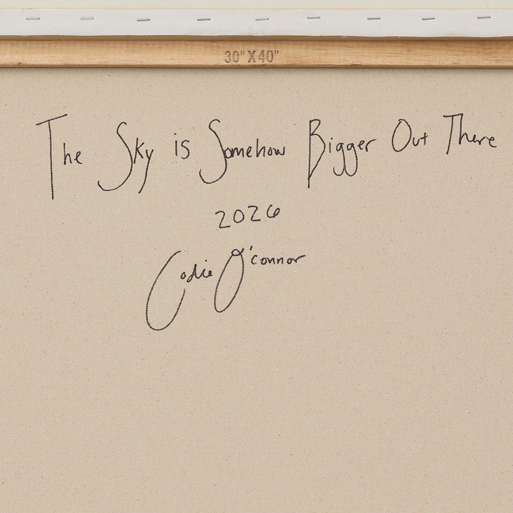 Rear of a stretched canvas with the title The Sky Is Somehow Bigger Out There date and artist signature written