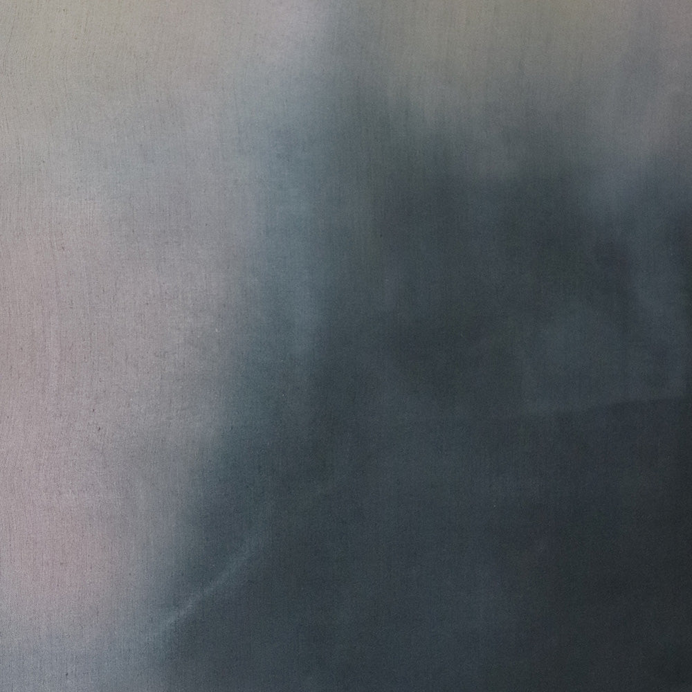 Painting by Ali Enache