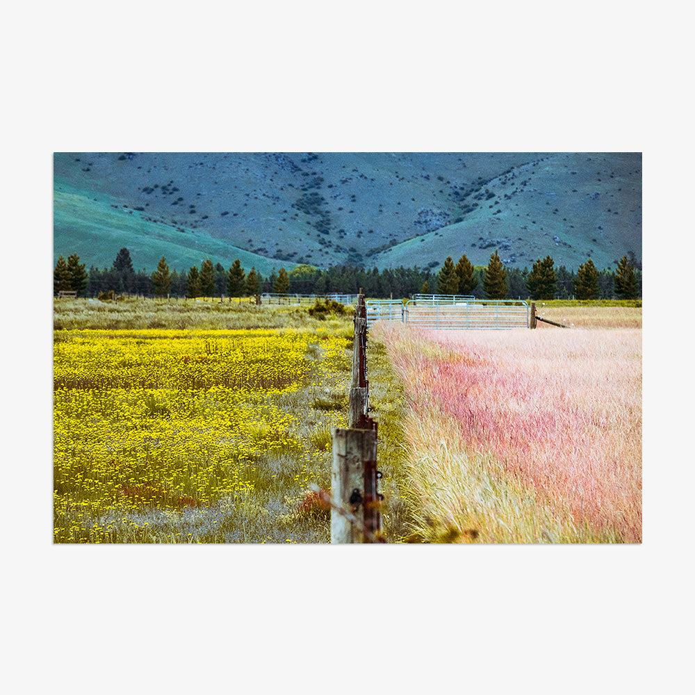 Photograph by Brian Merriam