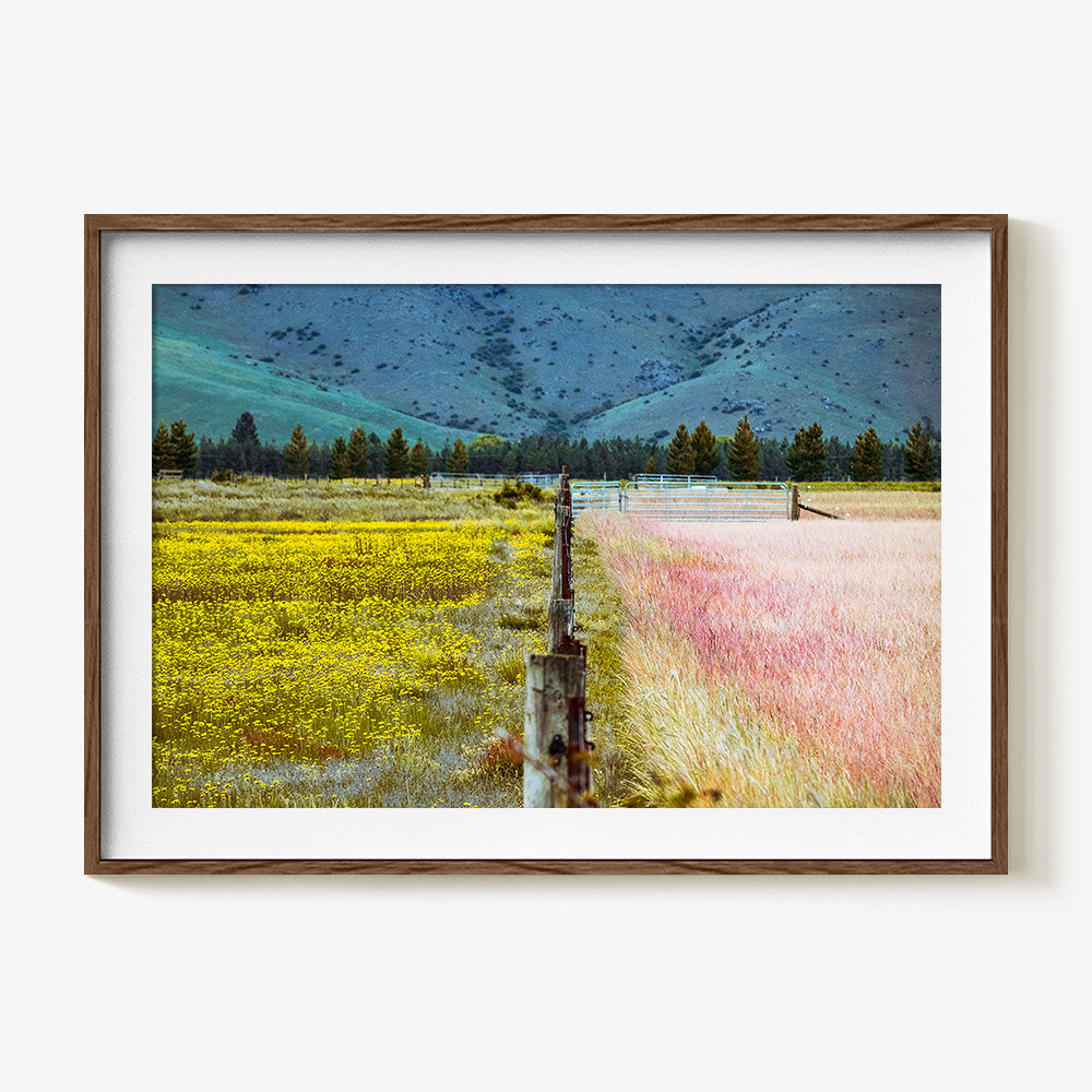 Photograph by Brian Merriam