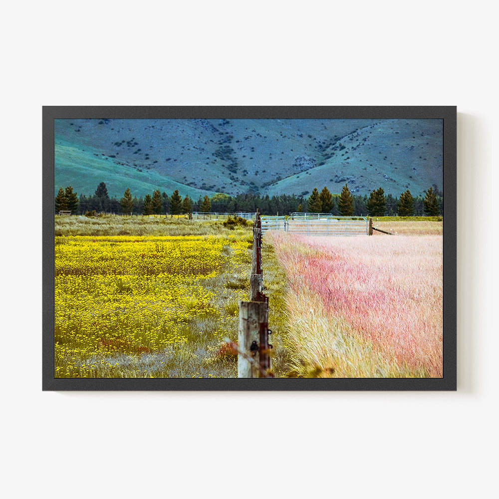 Photograph by Brian Merriam