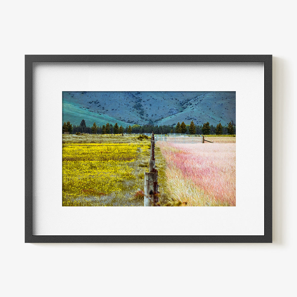 Photograph by Brian Merriam