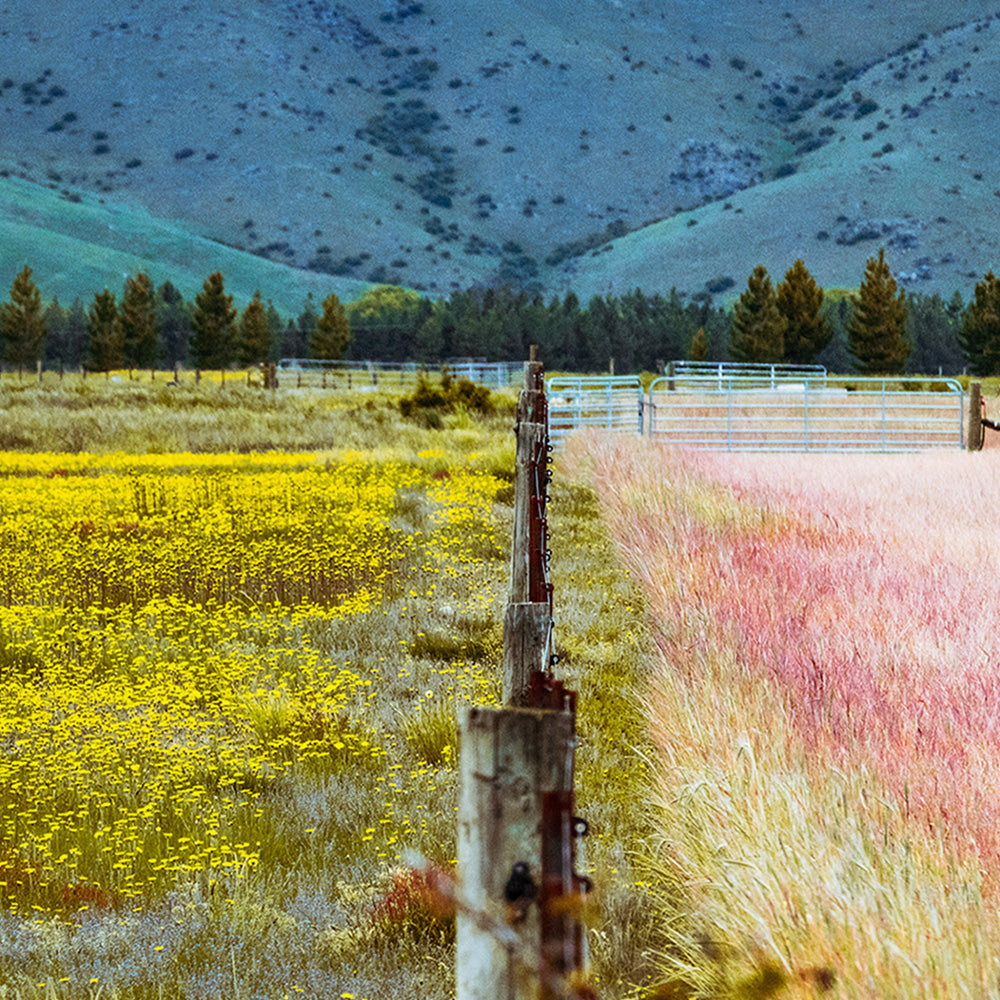 Photograph by Brian Merriam