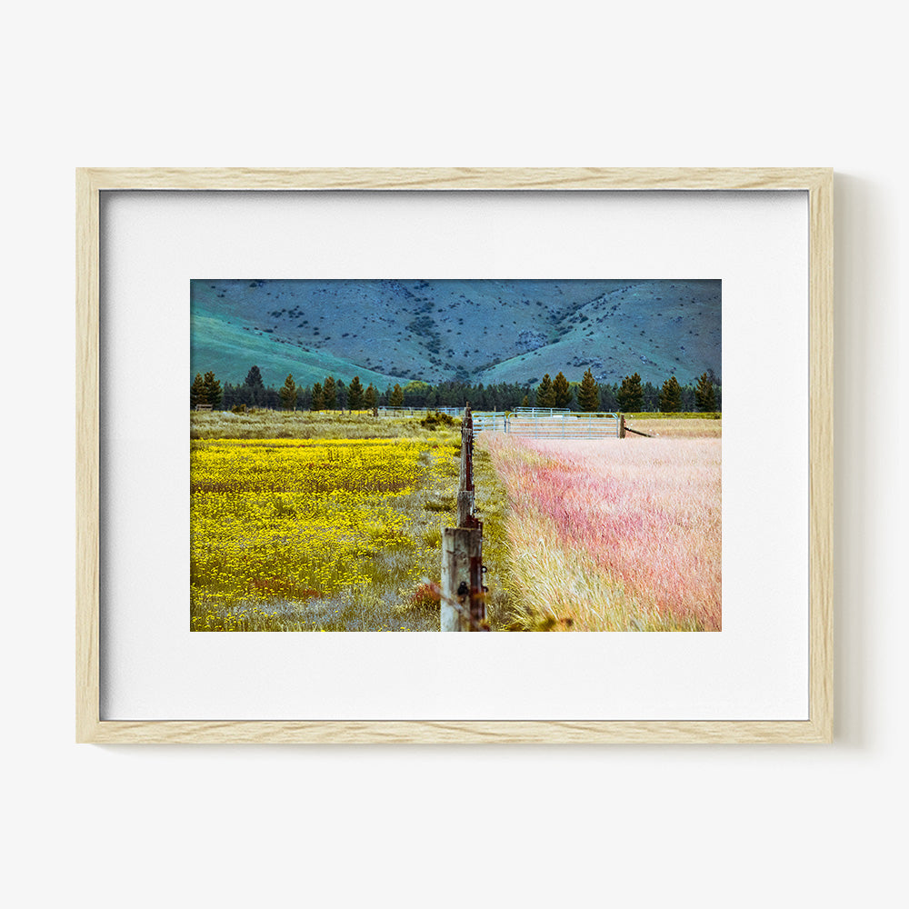 Photograph by Brian Merriam