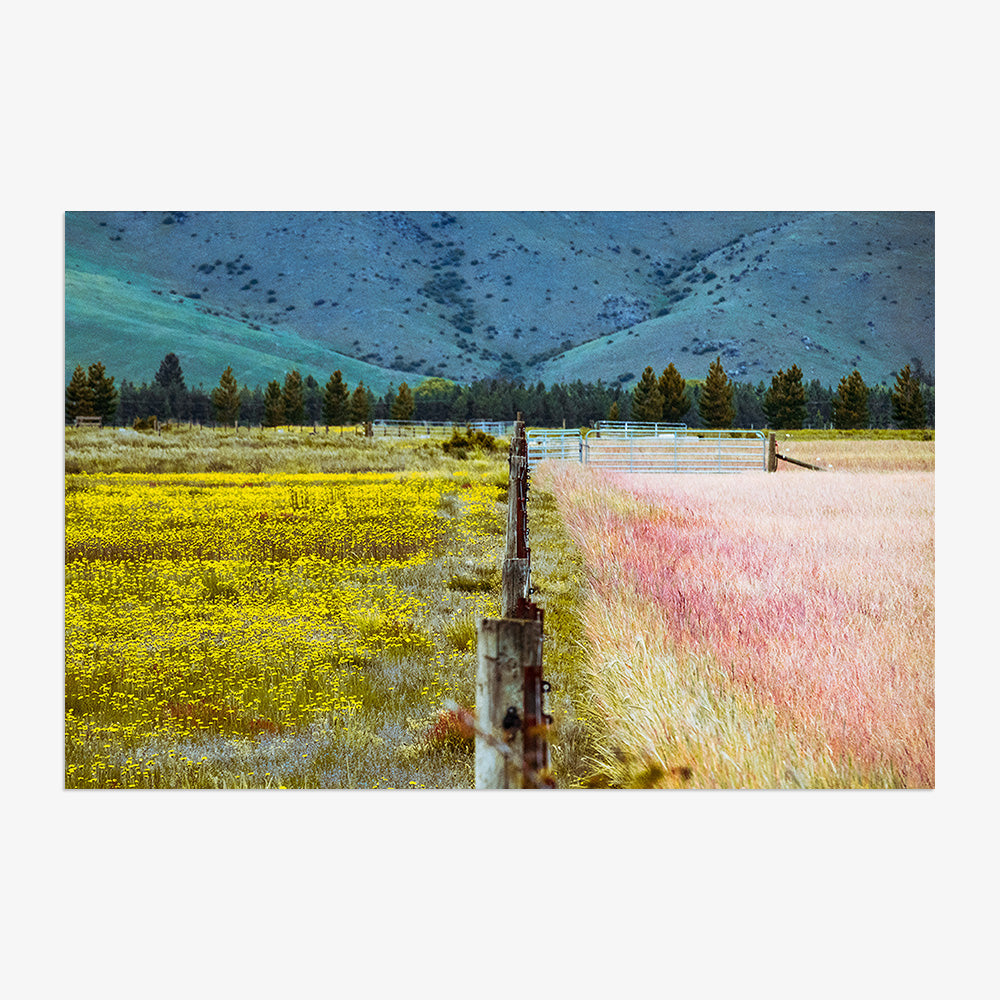 Photograph by Brian Merriam