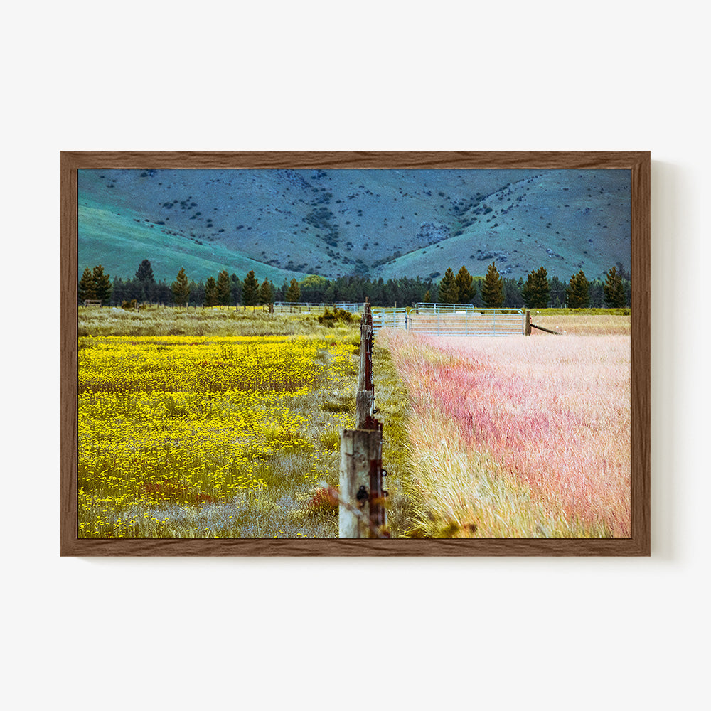 Photograph by Brian Merriam