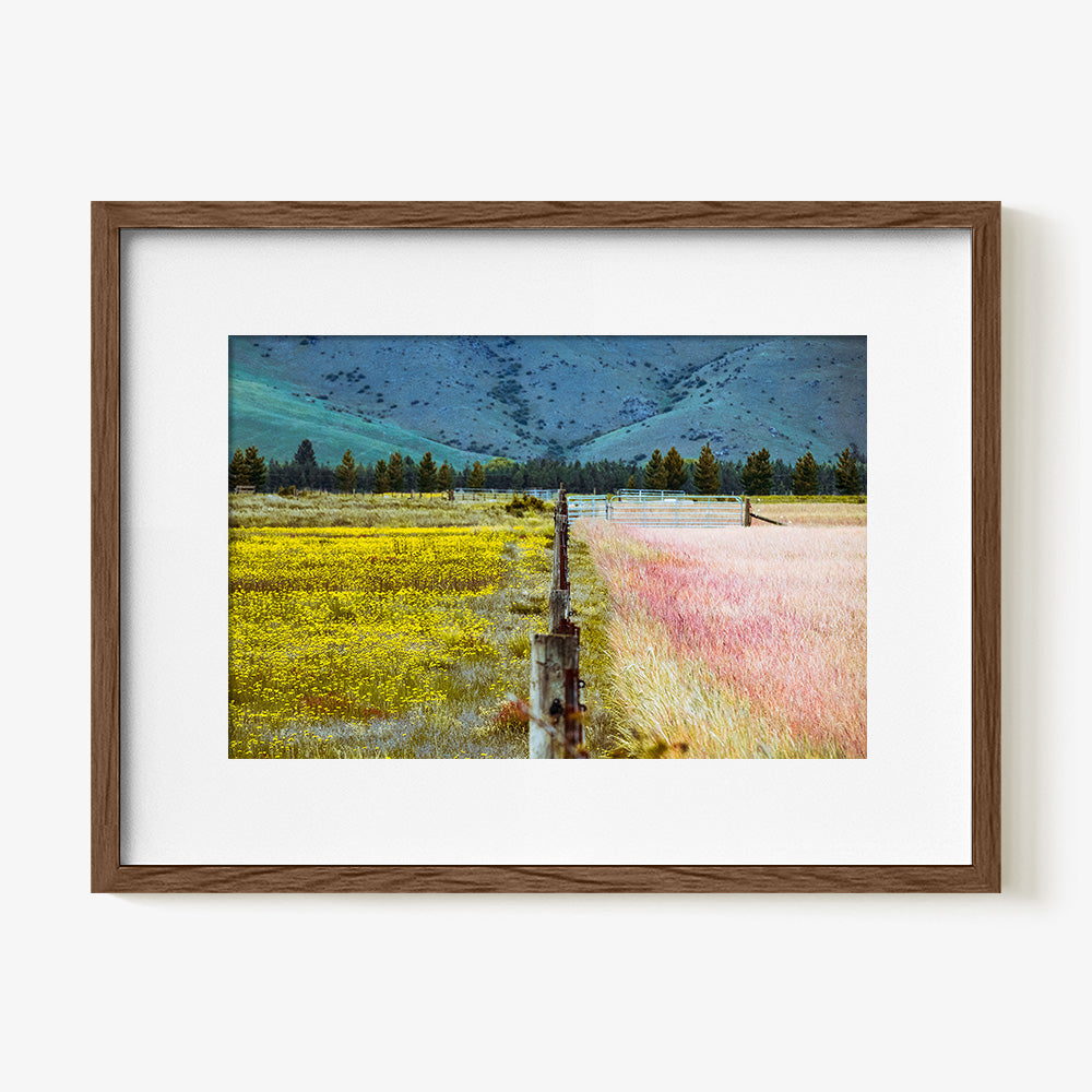 Photograph by Brian Merriam