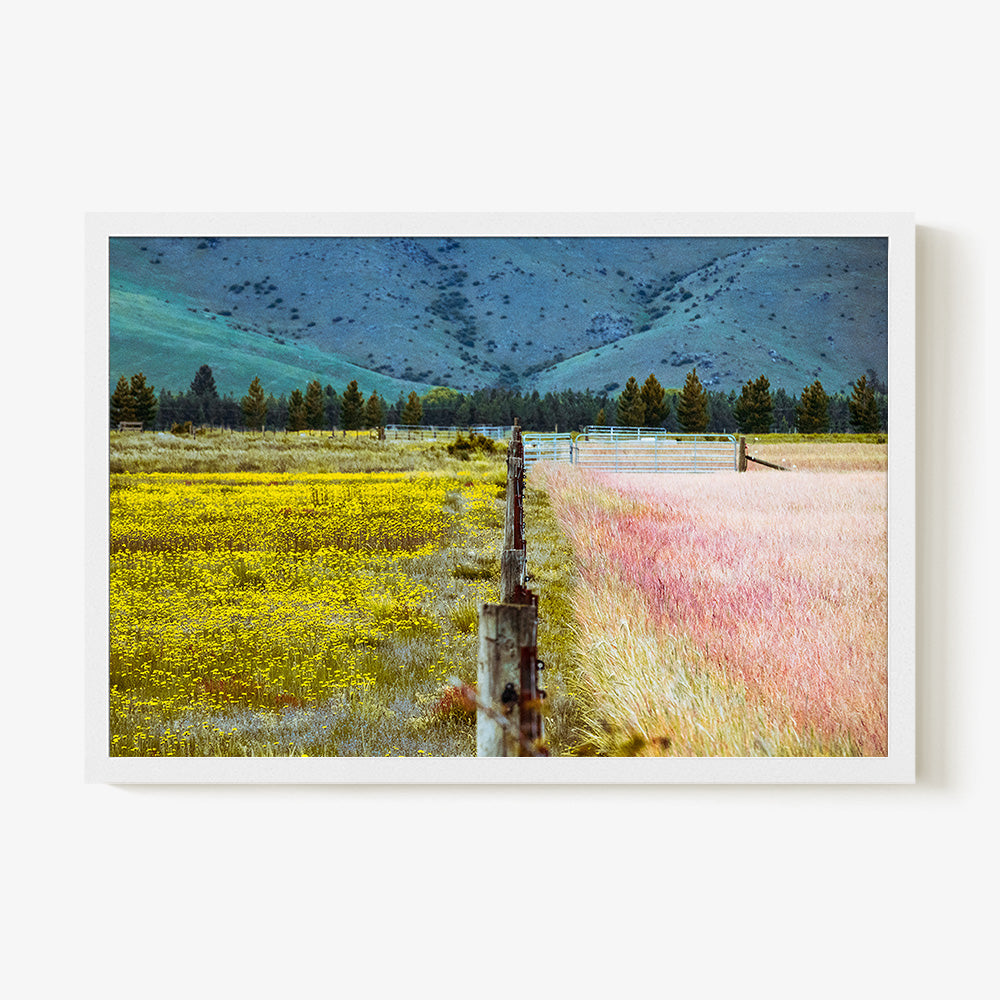 Photograph by Brian Merriam