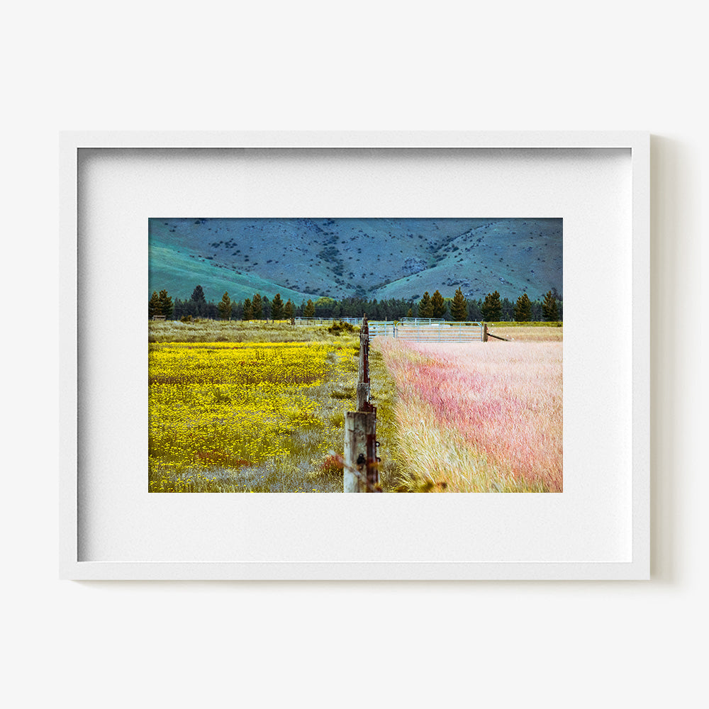 Photograph by Brian Merriam