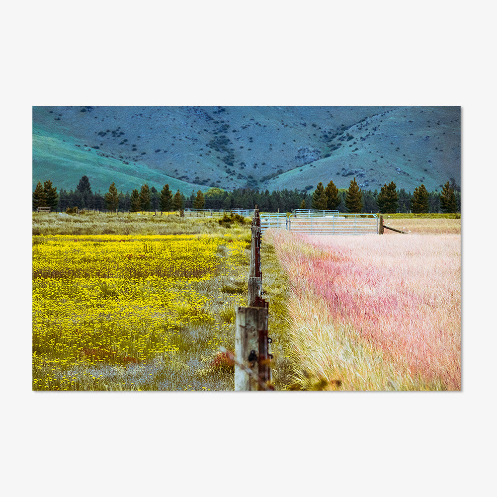 Photograph by Brian Merriam