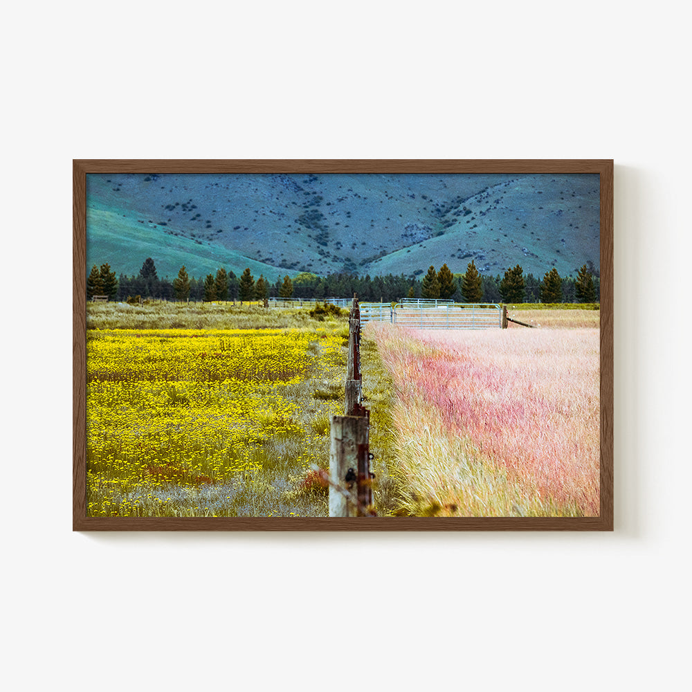 Photograph by Brian Merriam