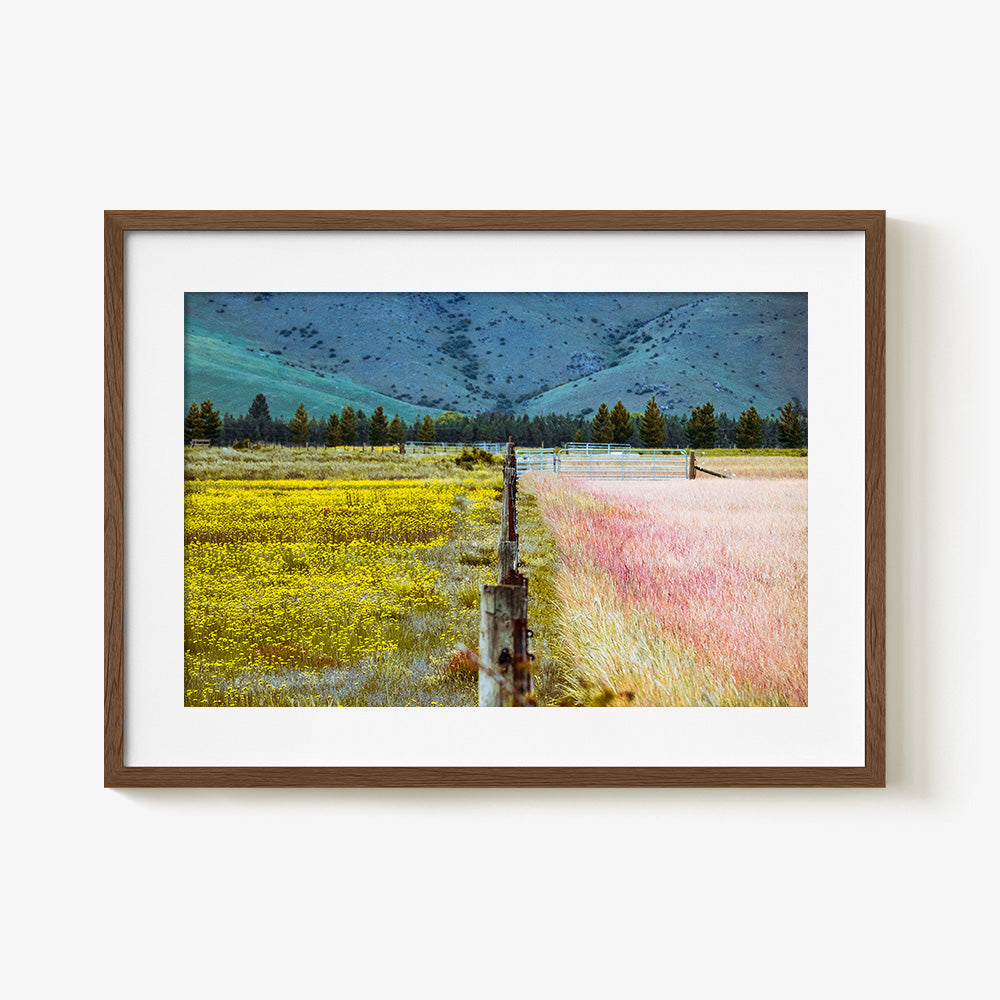 Photograph by Brian Merriam