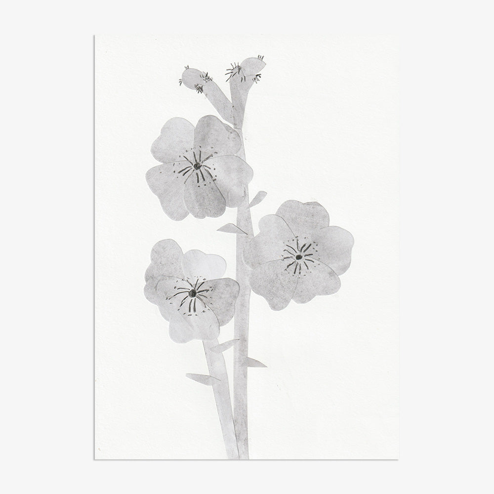 Collage by Johanna Tagada Hoffbeck