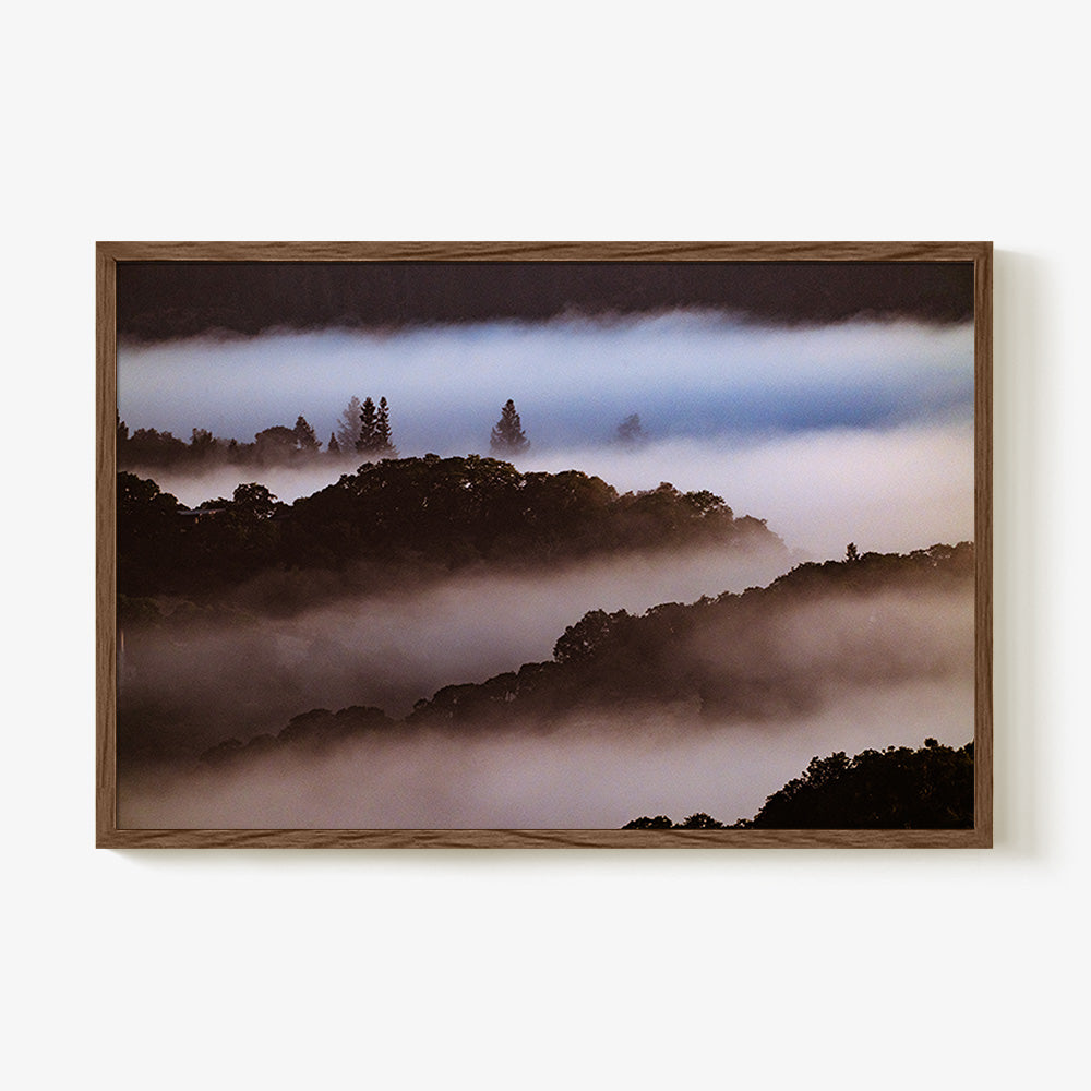 Photograph by Brian Merriam