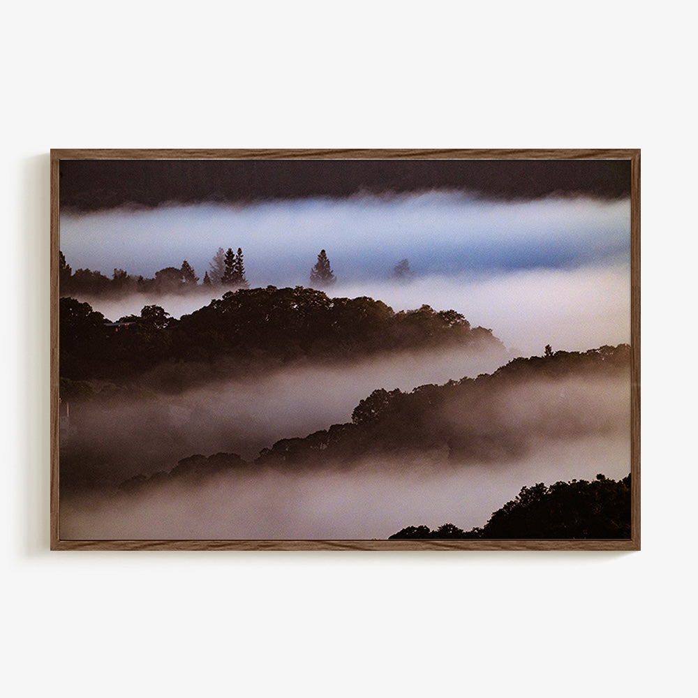 Photograph by Brian Merriam