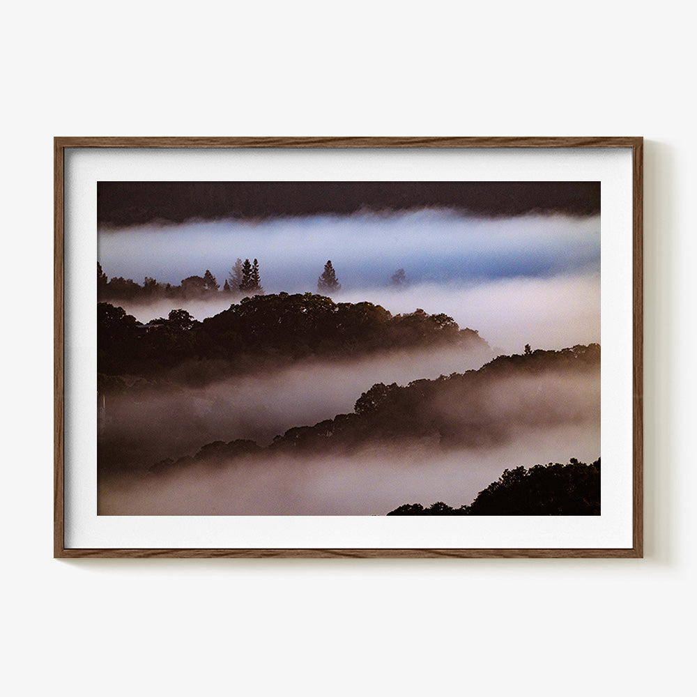 Photograph by Brian Merriam