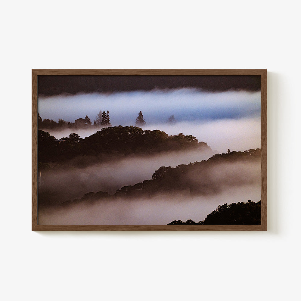 Photograph by Brian Merriam