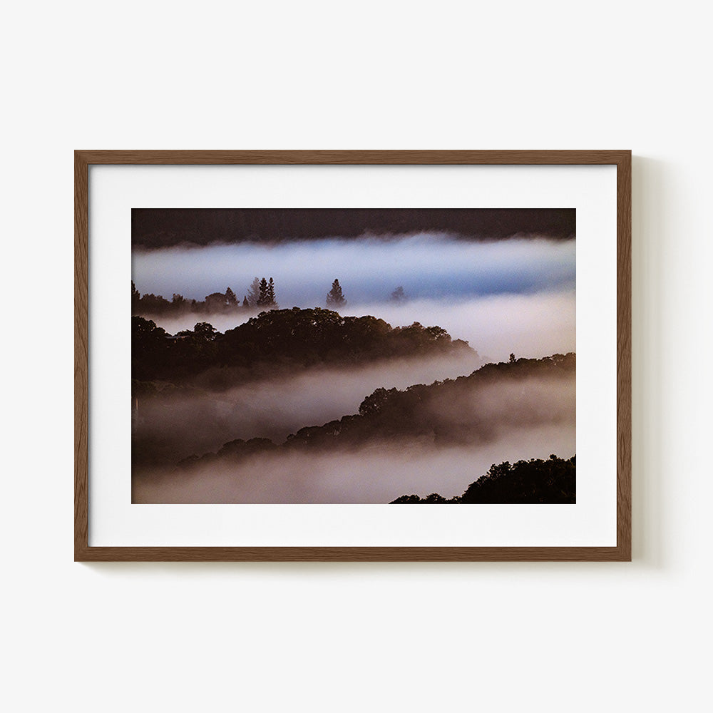 Photograph by Brian Merriam