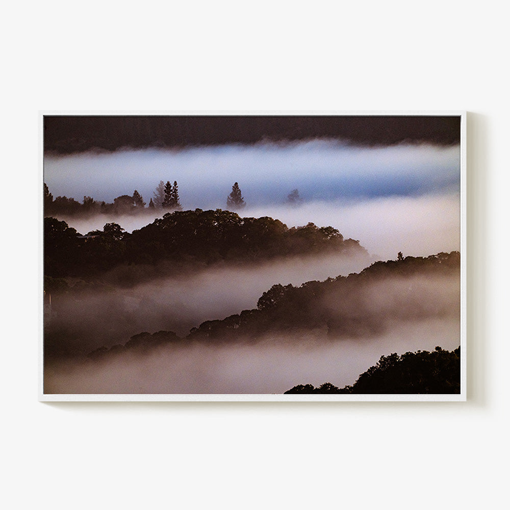 Photograph by Brian Merriam