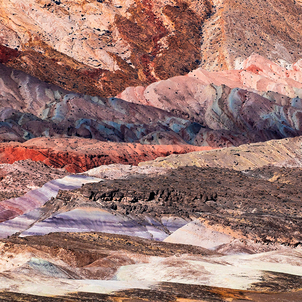Photograph by Brian Merriam