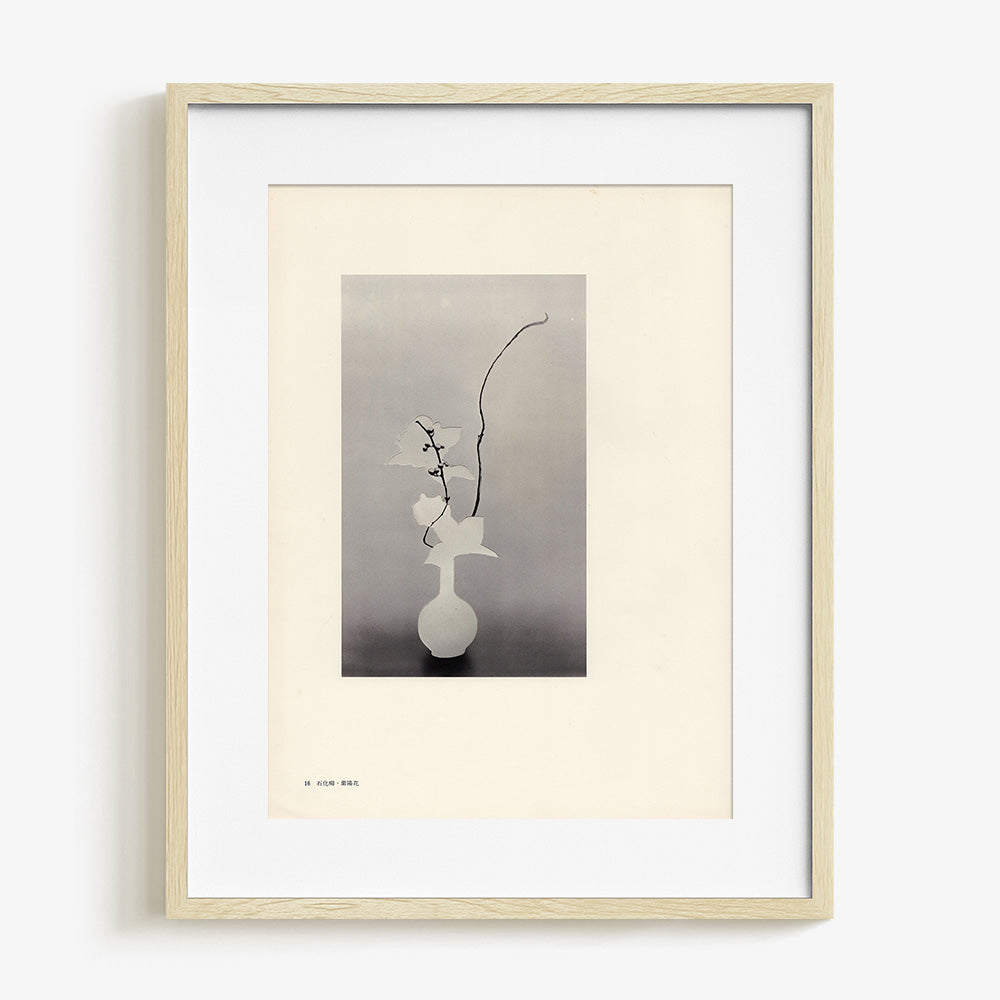 Print by Leigh Wells