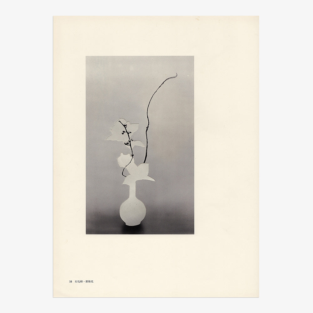 Print by Leigh Wells