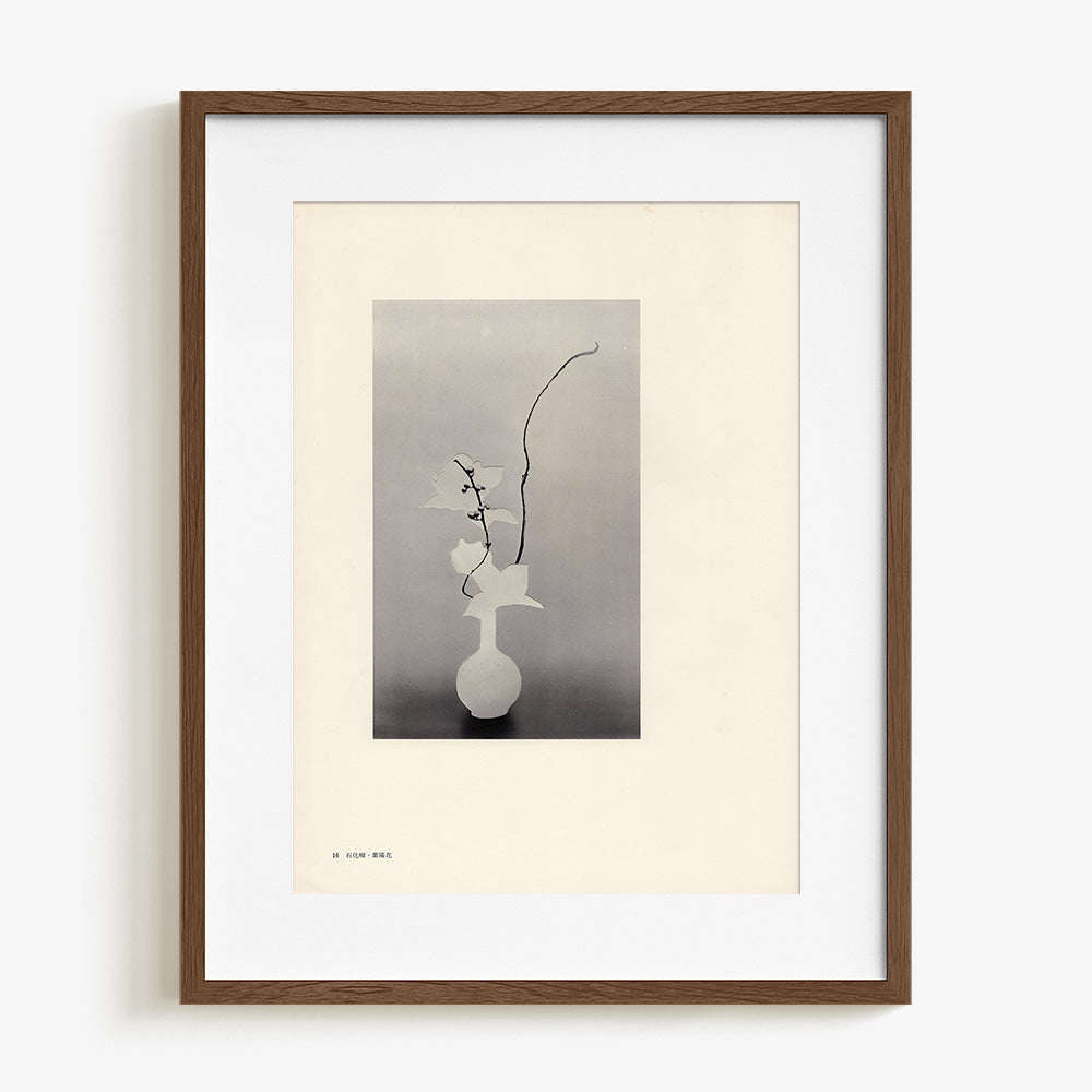 Print by Leigh Wells