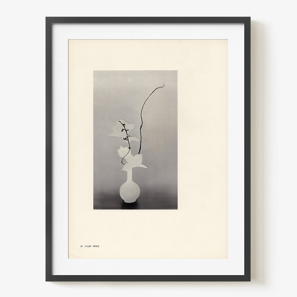 Print by Leigh Wells