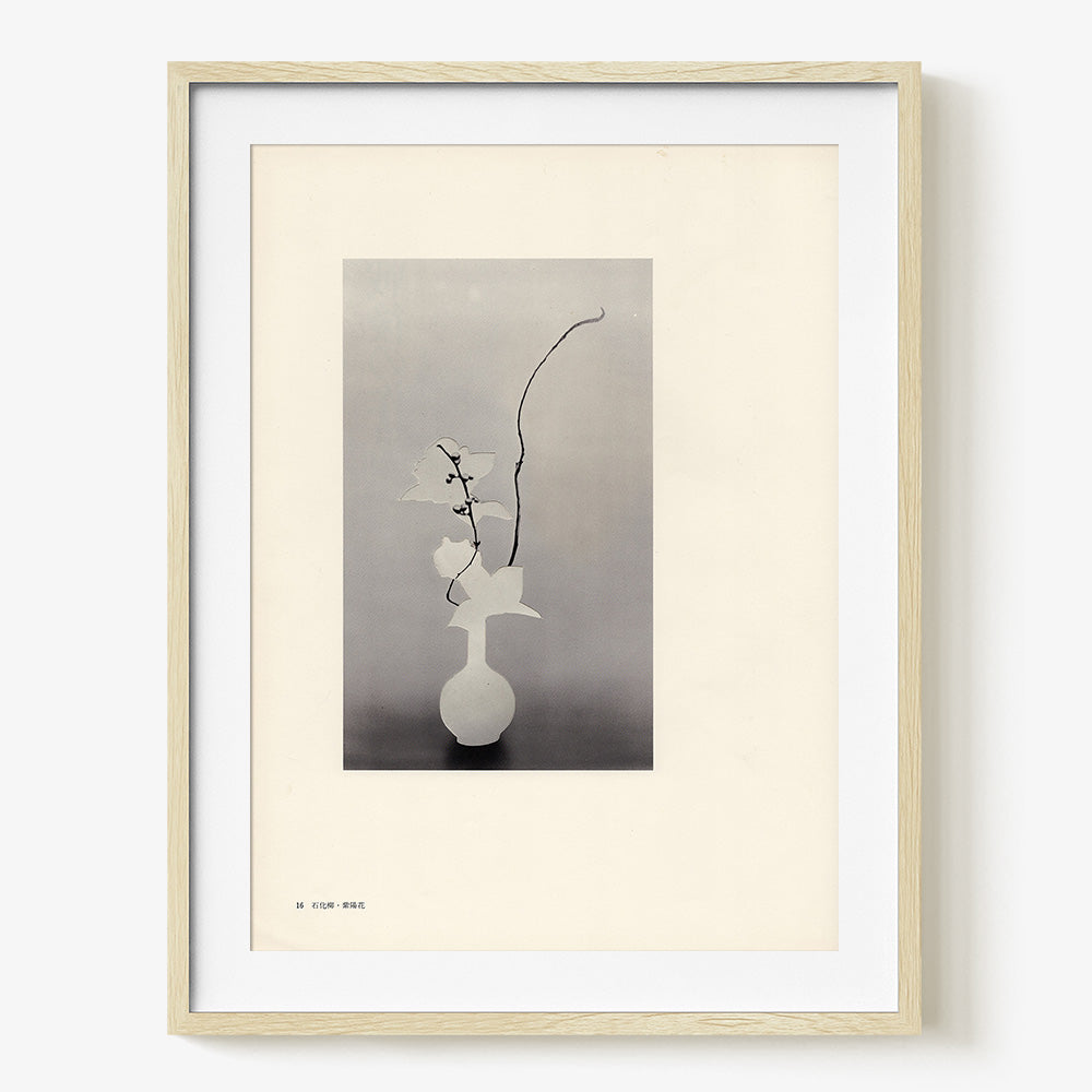 Print by Leigh Wells