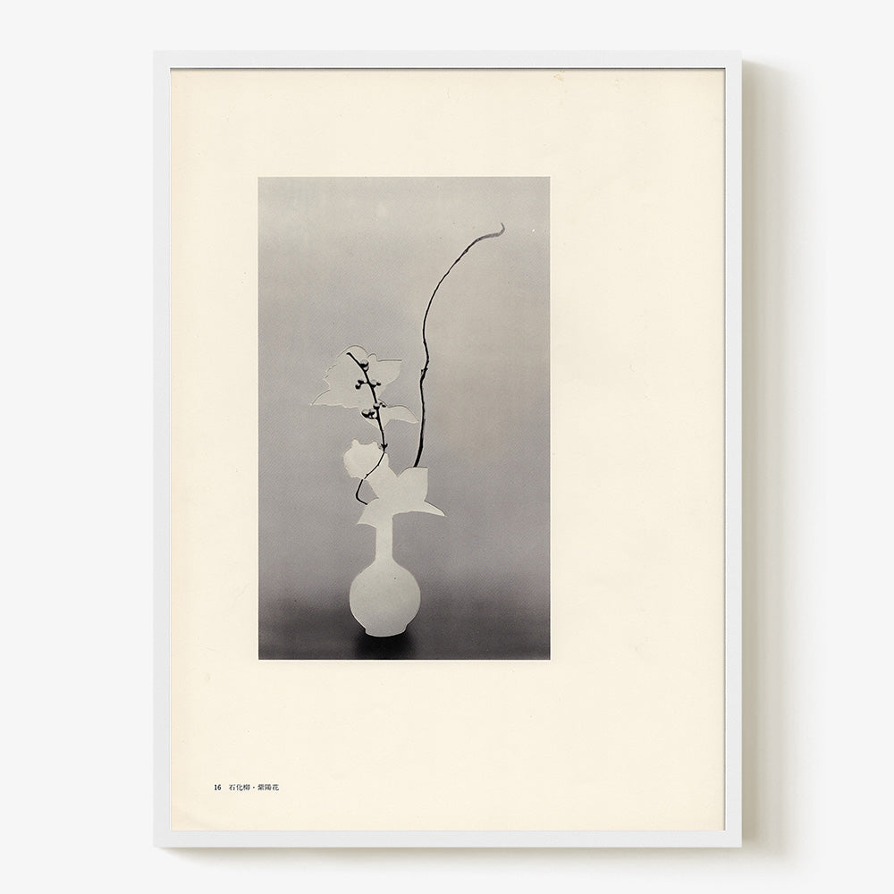 Print by Leigh Wells
