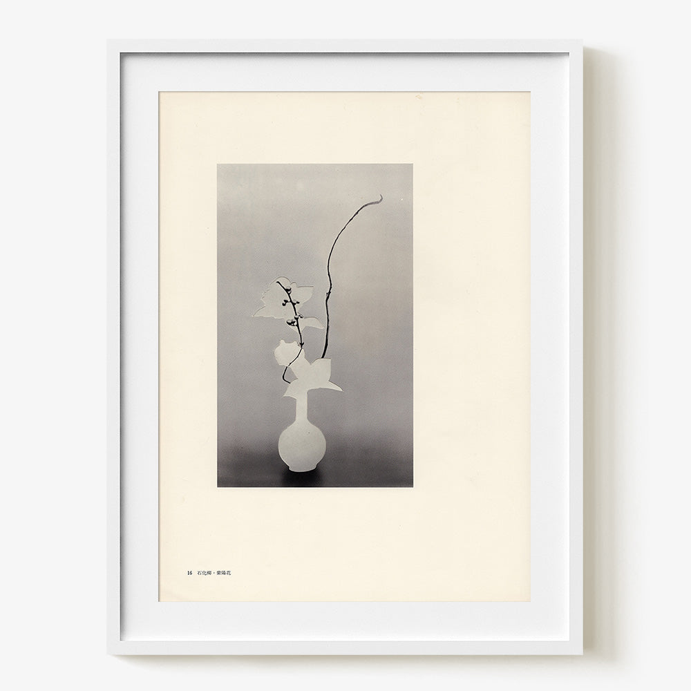 Print by Leigh Wells