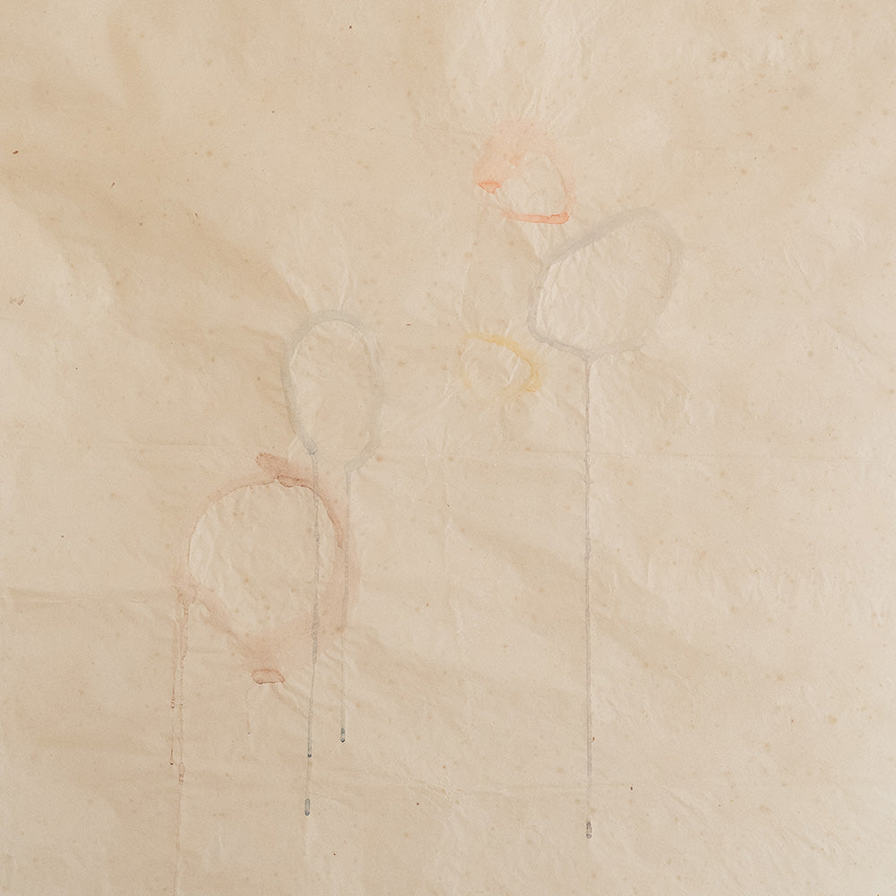 Work on Paper by Catherine Lucky Chang