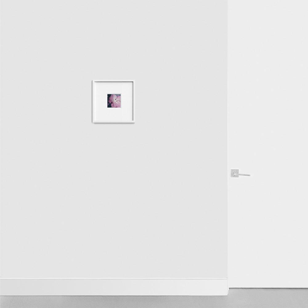 Polaroid by Neil Kryszak