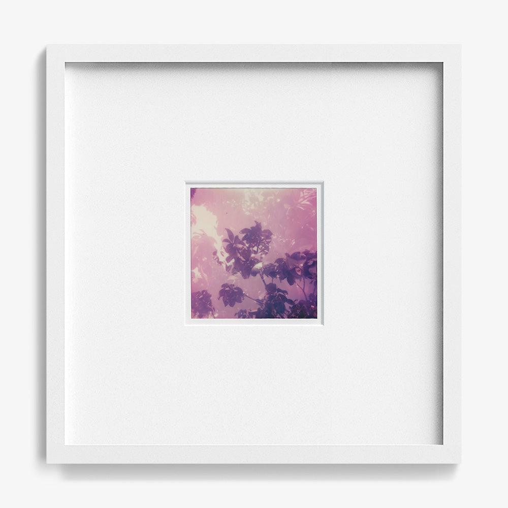 Polaroid by Neil Kryszak