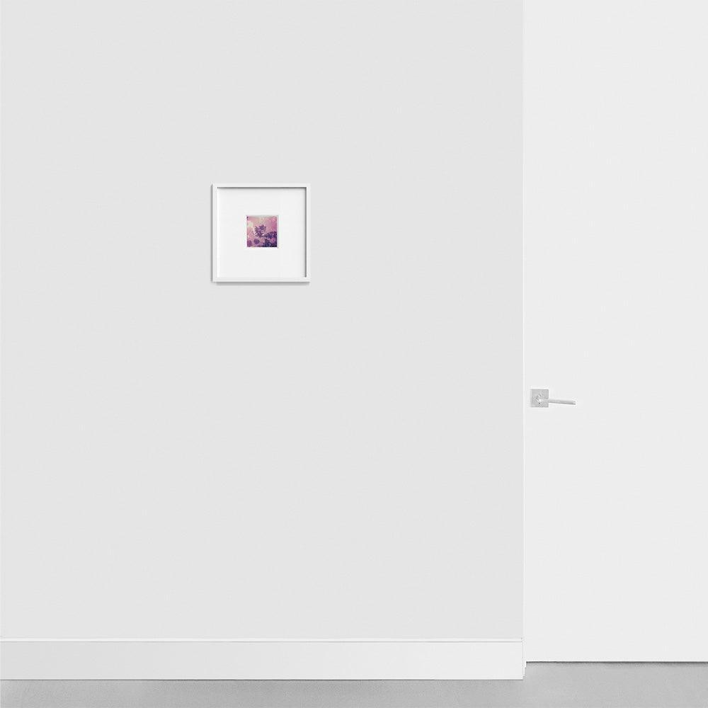 Source, Polaroid  by  Source Tappan