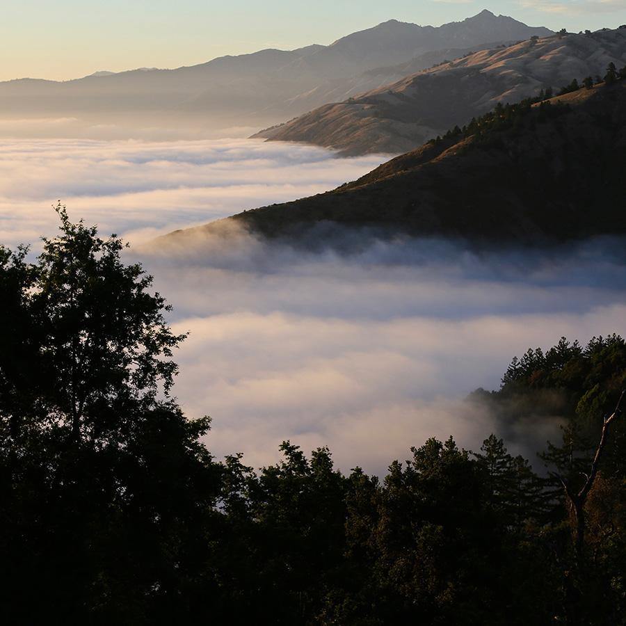 Above the Clouds (Big Sur), Photography  by  Above the Clouds (Big Sur) Tappan