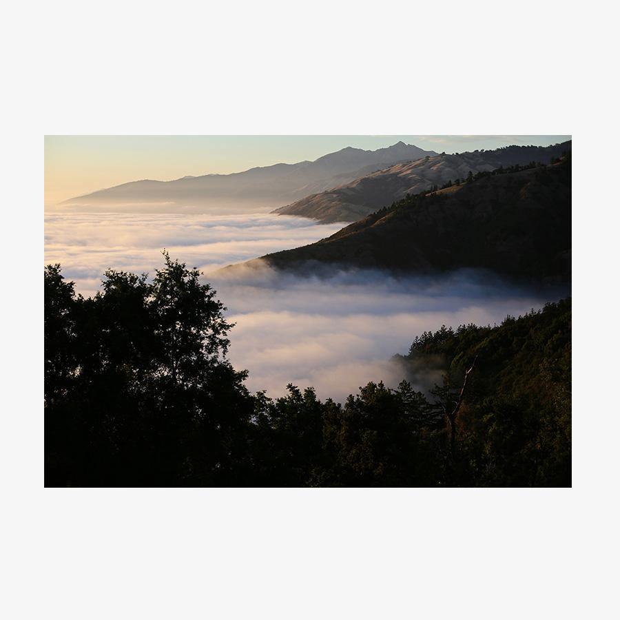 Photography by Isaac Zoller