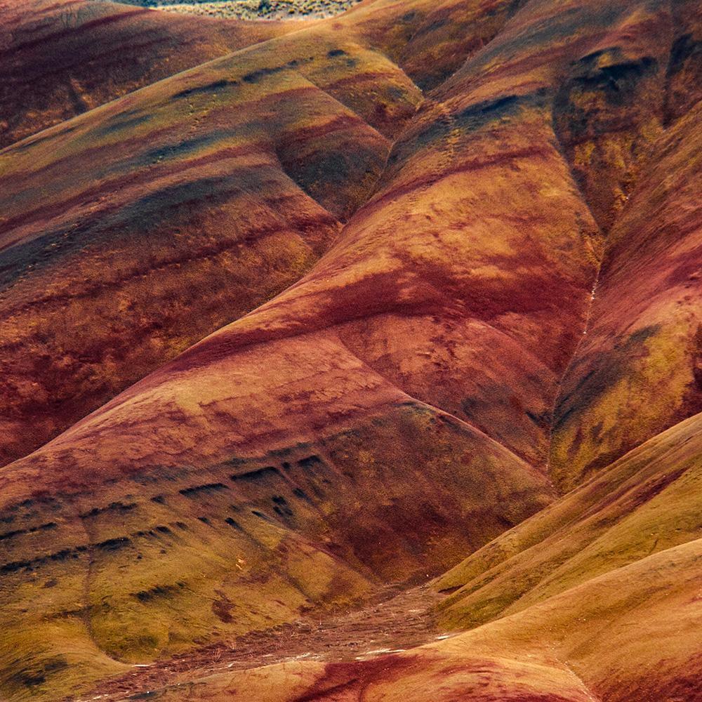 Photograph by Brian Merriam
