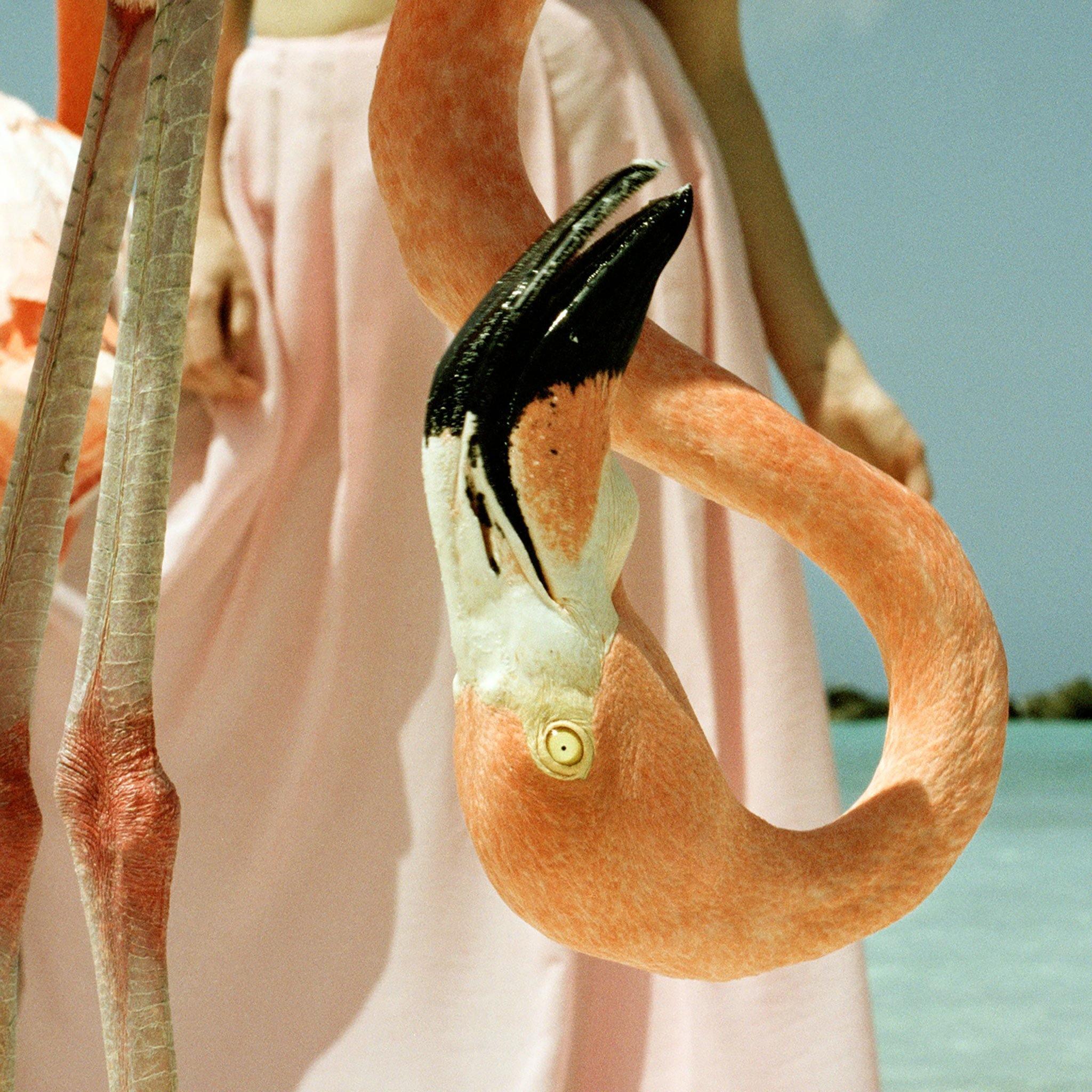 Photograph by Annelie Vandendael