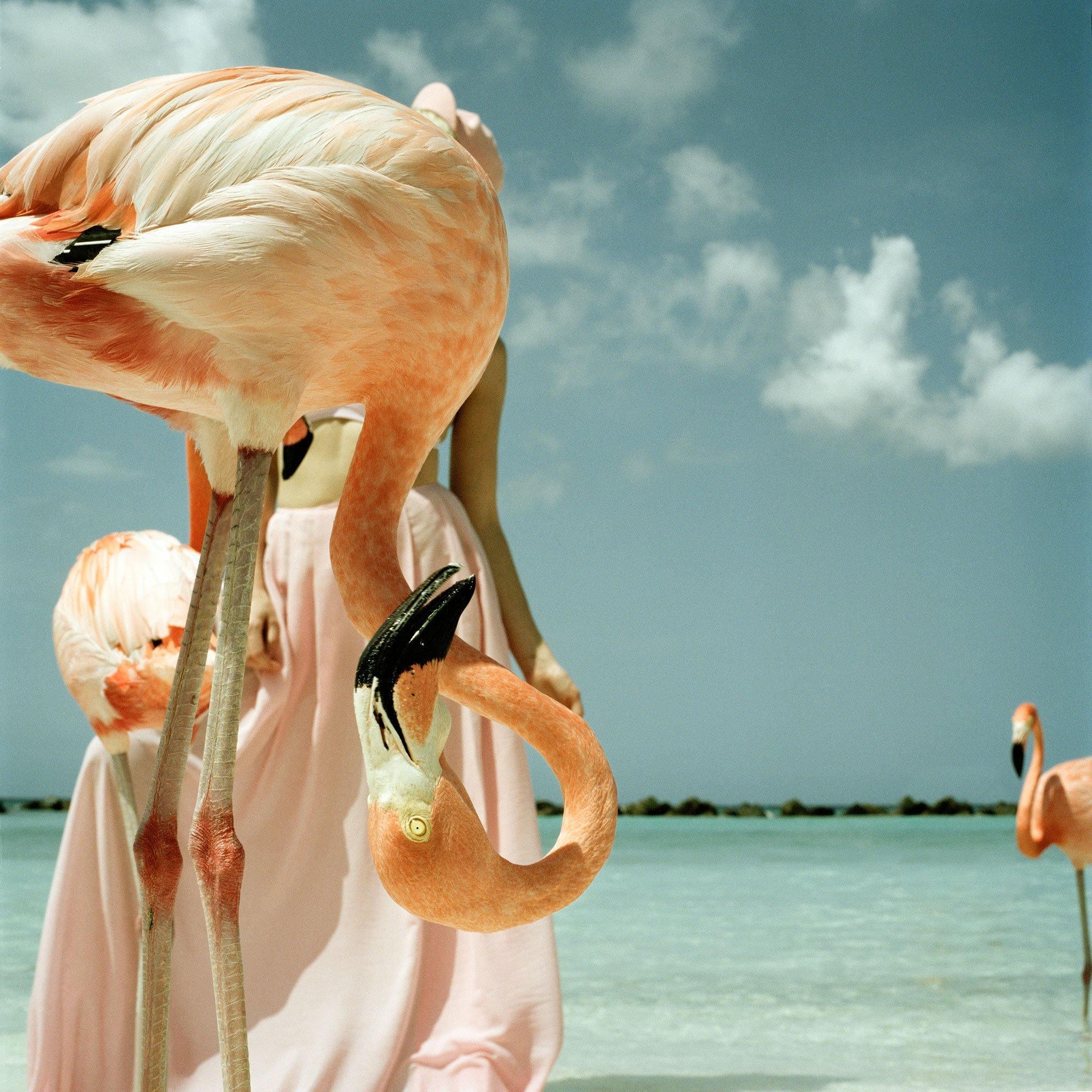 Photograph by Annelie Vandendael