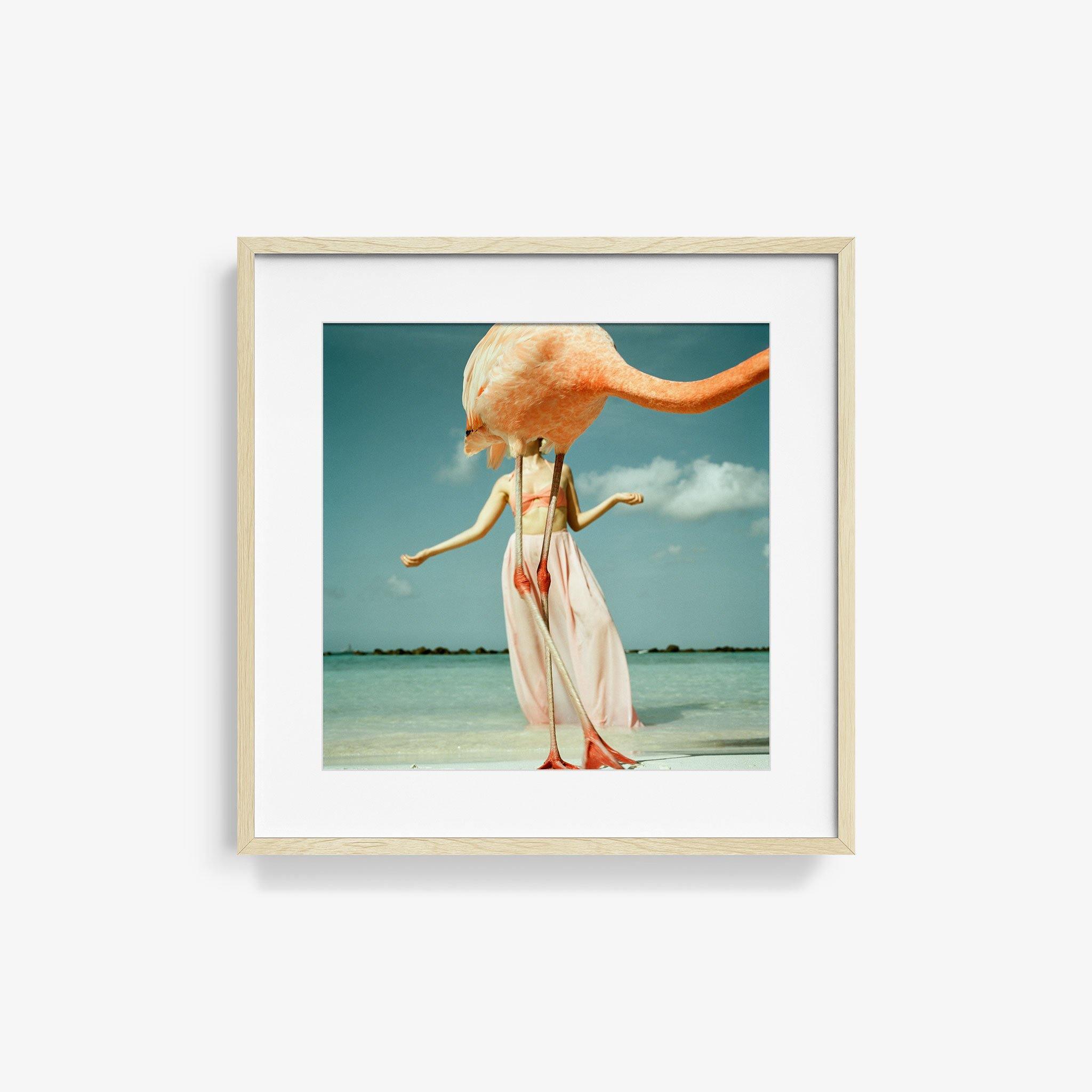 Photograph by Annelie Vandendael