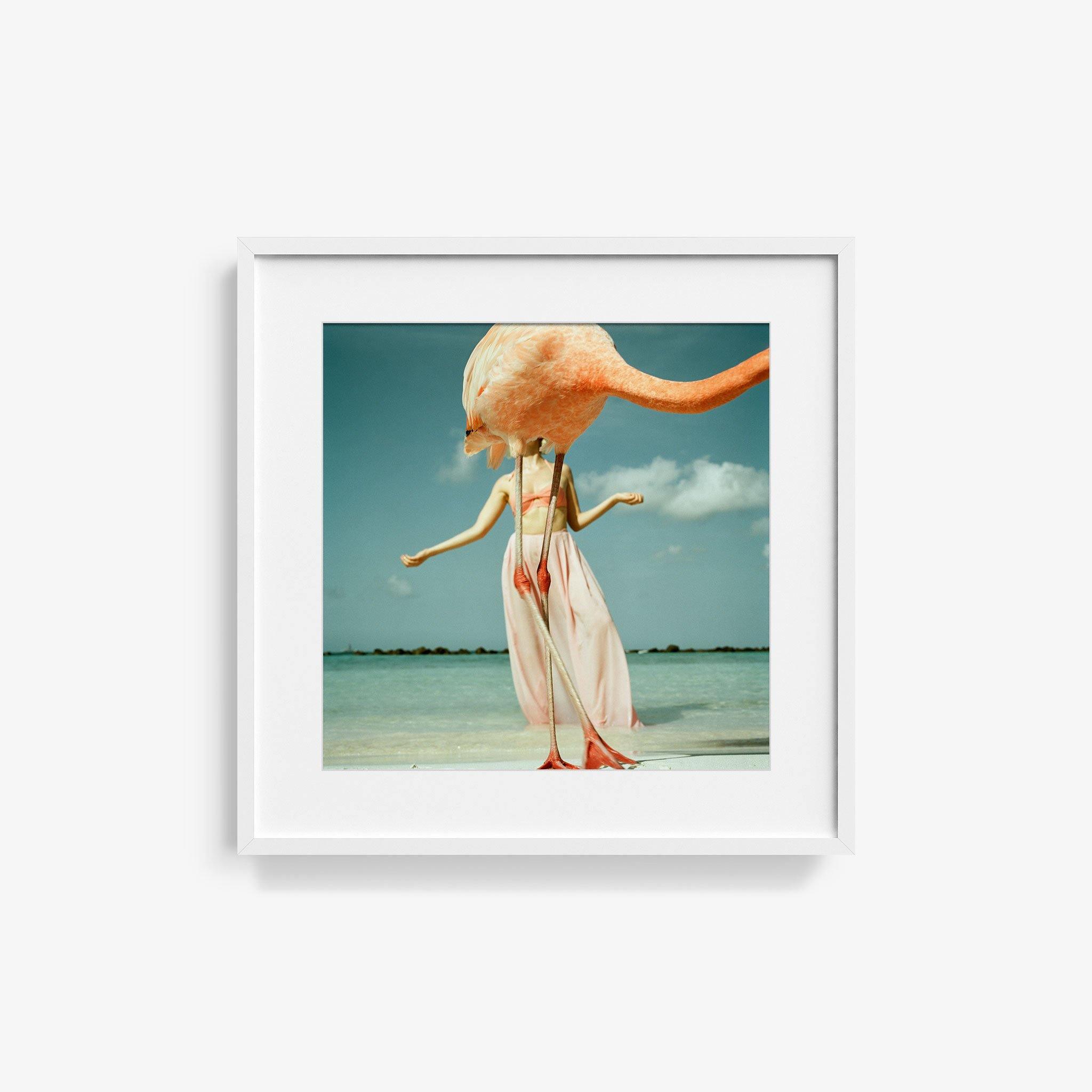 Photograph by Annelie Vandendael