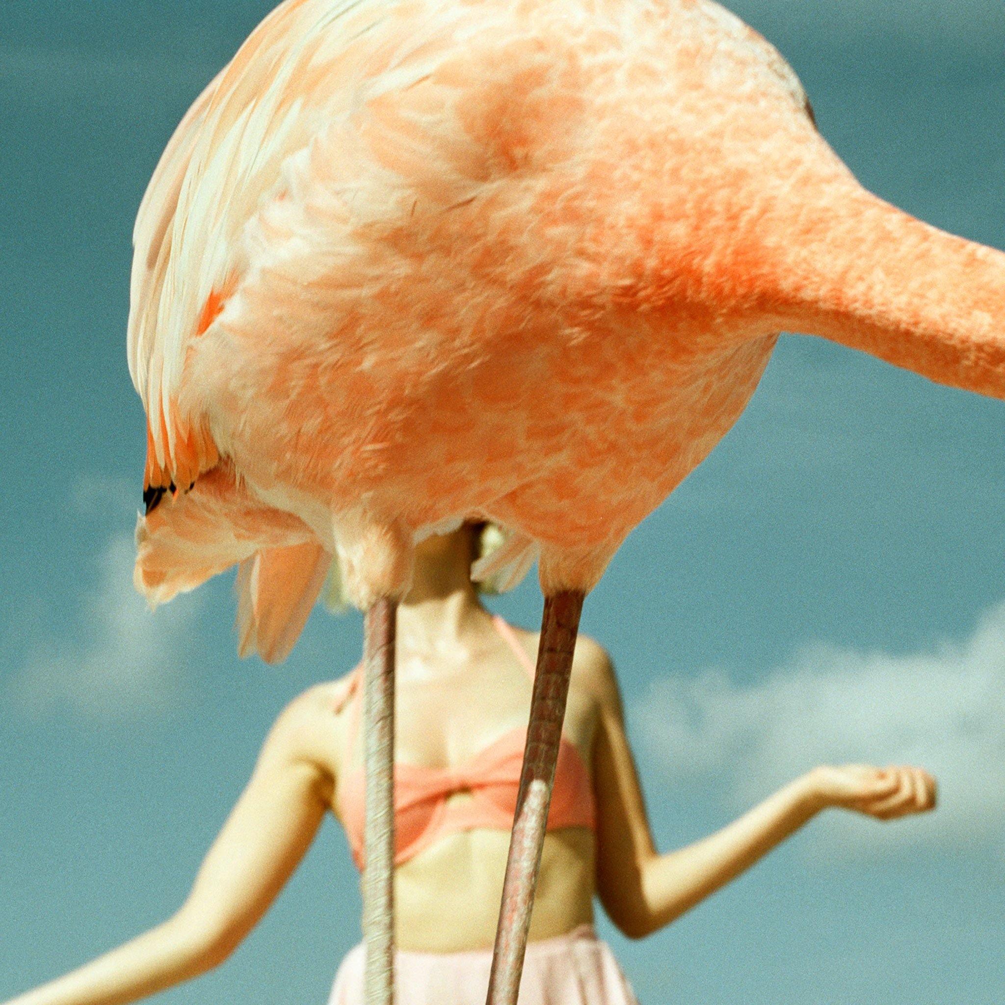 Photograph by Annelie Vandendael